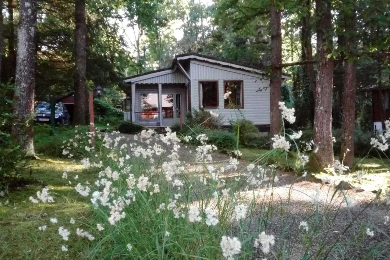 Chalet Siesta Is Rust & Natuur In Durbuy - Barvaux-Sur-Ourthe 외부 사진